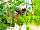 1339882321-P1040166.png