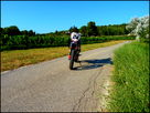 1343159209-p1040656.png