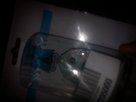 1343643294-photo1117.png