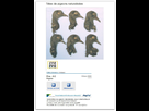 http://image.noelshack.com/minis/2013/02/1357944532-pigeons.png