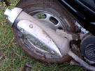 1359393313-photo.png