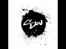refonte du logo 1359471605-logo-sw