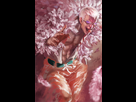 1371148786-doflamingo-by-young-street-d67chvd.png