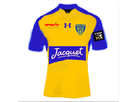 1373450742-maillot-asm-projet-2013.png