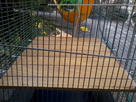maison en construction 1374086875-2013-07-17-19-01-25