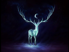 Vos fonds d'écran - Page 4 1384620154-expecto-patronum