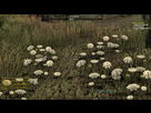 http://image.noelshack.com/minis/2014/06/1391888088-1.png