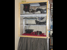 Cage maison et agrandissement. 1392468792-img-9168