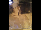 http://image.noelshack.com/minis/2014/20/1400006078-img-20140513-202155.png