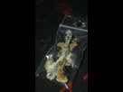 http://image.noelshack.com/minis/2014/33/1408224748-dsc3041.png