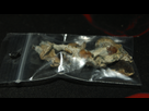 http://image.noelshack.com/minis/2014/33/1408224802-dsc3036.png