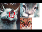 1409396459-cat.png