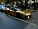 http://image.noelshack.com/minis/2014/37/1410369217-p1040034.png