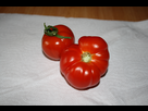 http://image.noelshack.com/minis/2015/29/1437316240-1ere-tomate-fournaise-170615.png