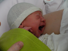 http://image.noelshack.com/minis/2015/52/1450992333-dscf1067.png
