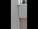 http://image.noelshack.com/minis/2016/19/1462791061-img-20160509-115334.png