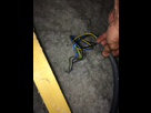 http://image.noelshack.com/minis/2016/22/1464625534-fils.png