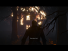 http://image.noelshack.com/minis/2016/22/1464976909-witcher3-2016-06-02-18-48-24-84.png