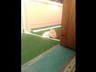 http://image.noelshack.com/minis/2016/34/1471973158-img-20160823-191815-1.png