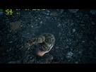 http://image.noelshack.com/minis/2017/40/3/1507131863-hellblade-senua-s-sacrifice-screenshot-2017-10-04-17-36-38-90.png