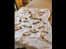 http://image.noelshack.com/minis/2019/01/7/1546791122-img-20190106-163619.png
