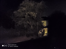 http://image.noelshack.com/minis/2019/25/4/1560984014-img-20190620-001108.png
