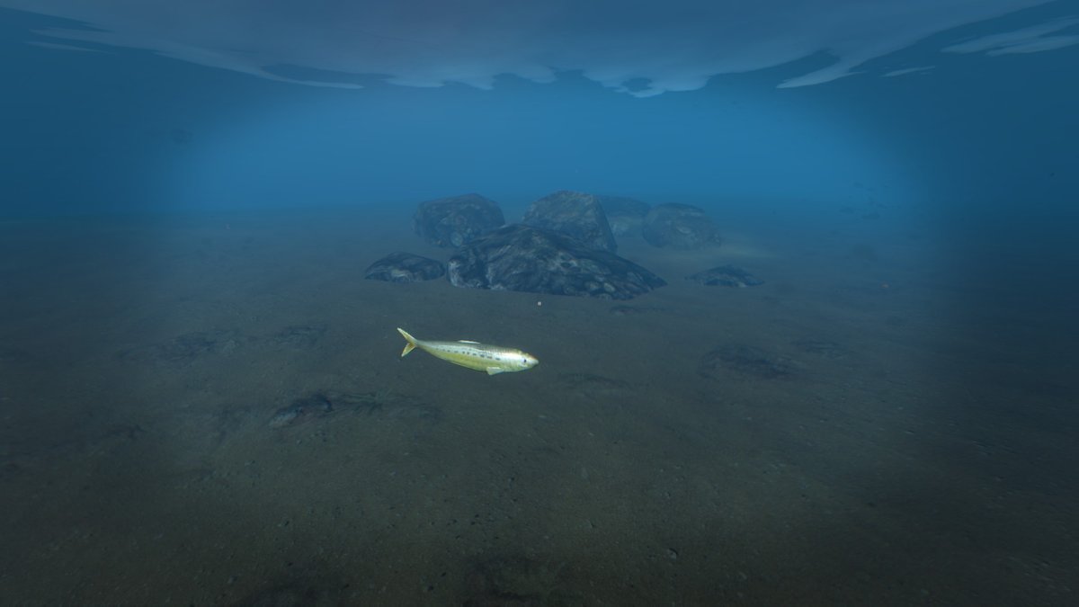 Sardine Astuces et guides Stranded Deep