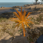 31+ Stranded Deep Yucca Pflanzen, Does not produce more yucca fruit.