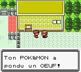 Nouveaux Pokemon