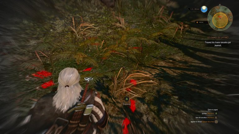 Les Dames de la forêt The Witcher 3 : Quels choix faire lors de cette quête ?
