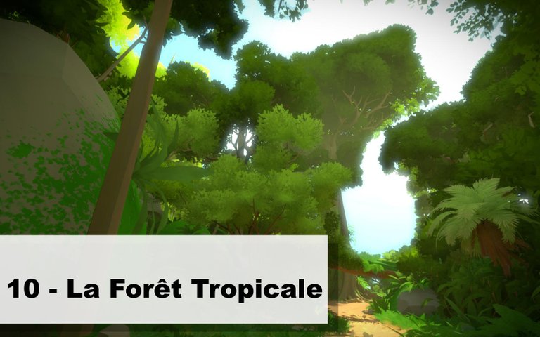 10 – La Forêt Tropicale