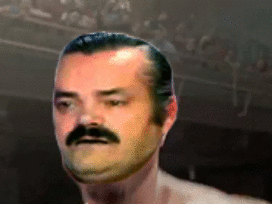 https://image.noelshack.com/fichiers/2016/47/1480196381-risitasboxe.gif