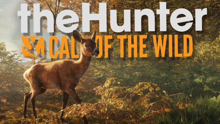 hunter call of the wild pc graphics weird