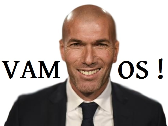 https://image.noelshack.com/fichiers/2017/11/1489518151-zidanezinedine01.png