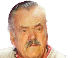 https://image.noelshack.com/fichiers/2017/20/1495181295-risitasvieux2.png