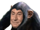 https://image.noelshack.com/fichiers/2017/22/1496587449-1494613194-risisinge.png