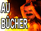 https://image.noelshack.com/fichiers/2017/47/4/1511459022-au-bucher.png