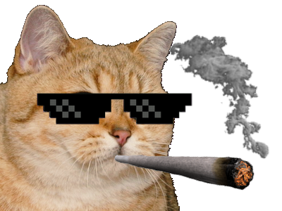 https://image.noelshack.com/fichiers/2018/02/7/1515920909-cat7.png