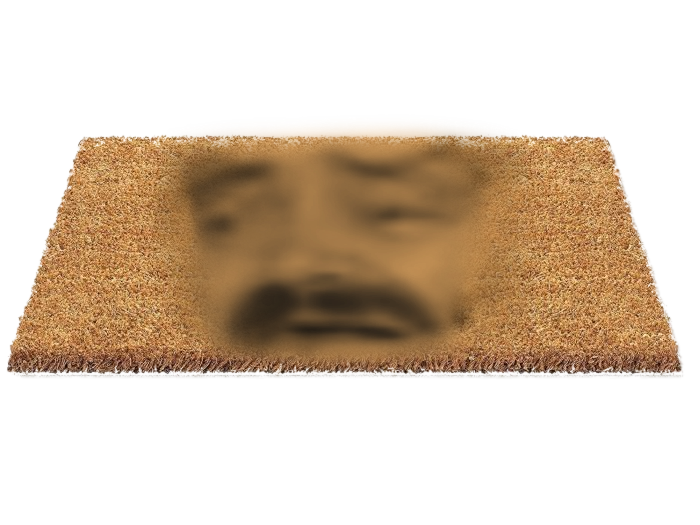 https://image.noelshack.com/fichiers/2018/04/6/1517074402-risipaillasson-2.png