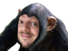 https://image.noelshack.com/fichiers/2018/11/5/1521231734-gregzoomsinge.png