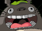 https://image.noelshack.com/fichiers/2018/16/1/1523860744-totoropascontent.gif