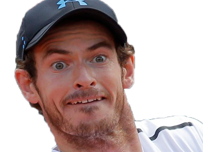 https://image.noelshack.com/fichiers/2018/23/4/1528406872-murray0.png