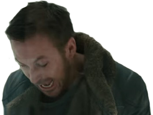 https://image.noelshack.com/fichiers/2019/03/4/1547743686-goslin.png