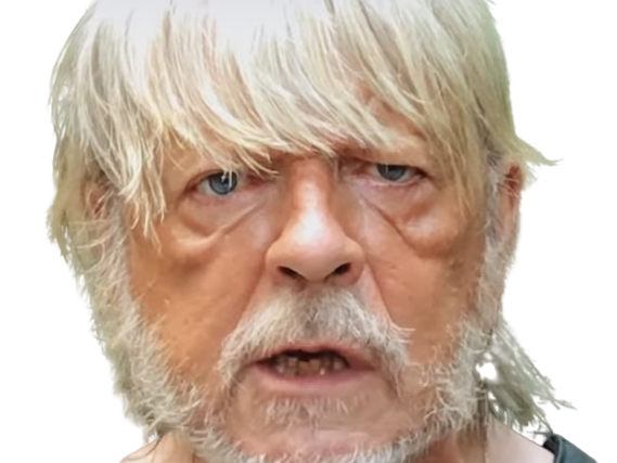 https://image.noelshack.com/fichiers/2020/28/3/1594228006-renaud-cropped-removebg-preview.png