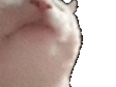 https://image.noelshack.com/fichiers/2020/35/5/1598625703-ezgif-2-5cbf1db28502.gif