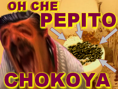 https://image.noelshack.com/fichiers/2020/44/6/1604106668-swan-the-voice-pepito-chokoya-arme-biologique.png