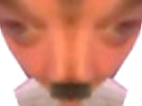 https://image.noelshack.com/fichiers/2021/04/2/1611615872-ahi-wtf-chonclo.png