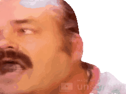 https://image.noelshack.com/fichiers/2021/18/5/1620386564-gif-1.gif