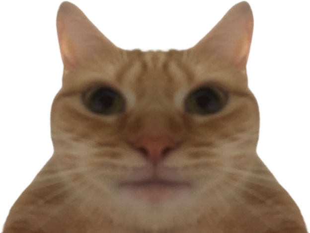 https://image.noelshack.com/fichiers/2021/35/2/1630432176-chatmirroirstretch.png