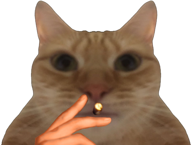 https://image.noelshack.com/fichiers/2021/35/3/1630497570-51ne3g7b.png